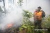 Лесной пожар подбирается к населенному пункту в Зейском районе