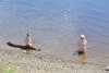 Белогорцев пытаются отучить от купания в реке Томь