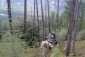В амурской тайге пропал 34-летний оленевод
