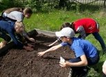 Амурские школьники выращивают момордику и чуфу