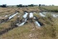 Из-за дождей в Амурской области заметно упала урожайность ранних зерновых