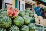 Почти 400 килограммов арбузов и дынь уничтожили в Приамурье