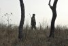 Пьяные браконьеры напали на охотоведа в Архаринском районе
