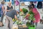 Овощи на благовещенской сельхозярмарке проверили на нитраты