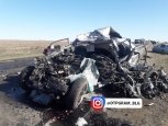 Иномарки столкнулись с грузовиком под Волково: есть погибшие (видео)