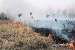 В Амурской области начали массово жечь сухую траву