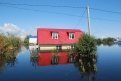 Книгу о катастрофическом амурском наводнении признали лучшей на «Печатном Дворе-2017»