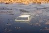На дне: автомобилист потерял управление и съехал в озеро возле Прядчино (видео)