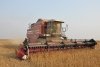 Белорусская техника помогла амурским хозяйствам завершить уборку сои