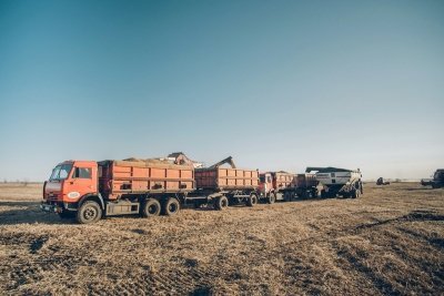 Аграрии Михайловского района идут на рекордный урожай сои