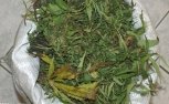 Сельчанки из Ивановского района подставили соседа, подбросив в его дом мешок с марихуаной