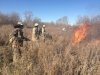 Профилактические отжиги травы в Приамурье продолжатся до снега