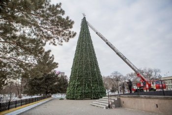 На главной площади Благовещенска установили 21-метровую ель (фоторепортаж из городка)