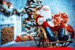 Новогодняя линия Деда Мороза и Снегурочки заработала для жителей Приамурья