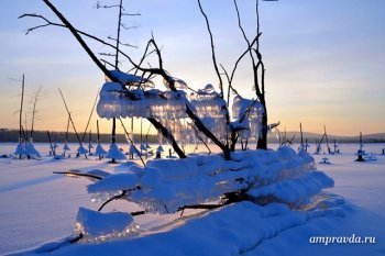 Читатели АП прислали на фотоконкурс метеорит, шашечницу Фебу и бабушек (фото)