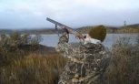 В Приамурье охотникам запретили ездить по полям и подбирать туши животных