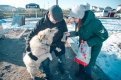 Тот самый Дружок: в канун года Собаки АП навестила самого знаменитого пса Приамурья