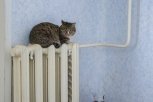 Большинство жалоб от амурчан на холод в квартирах не подтвердились