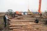 За год через Благовещенскую таможню вывезли леса на 36 миллионов долларов