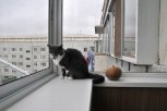 Владимир Путин поручил сделать доступнее ипотечное кредитование