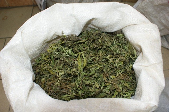 Конопля в михайловском районе беременна курю марихуану