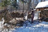 Роллы для изюбрей: чем кормят зверей в таежной столовой Бурейского парка