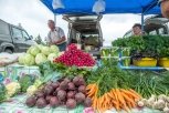 В селе Солнечном появится придорожный рынок местных сельхозтоваров