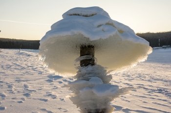 В Бурейском районе растут ледяные грибы и проходит Непальская тропа