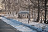 Губернатор в Москве защищает план развития Свободного