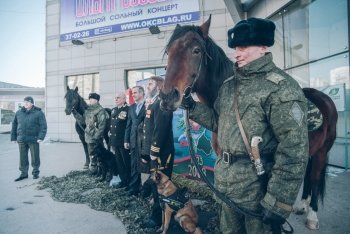 Амурские пограничники в юбилей показали коней и собак (фото)