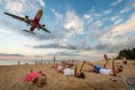 Картошка от кашля, мини-свинка и громкие трагедии: 10 самых популярных материалов февраля — 2018