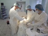 Благовещенские доктора научат хирургов со всей страны создавать стационары в поликлиниках