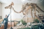 Приамурье мелового периода: почему динозавры не стали брендом области
