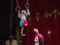 Виталий Смолянец научил обезьян кататься на самокате и заниматься гимнастикой.