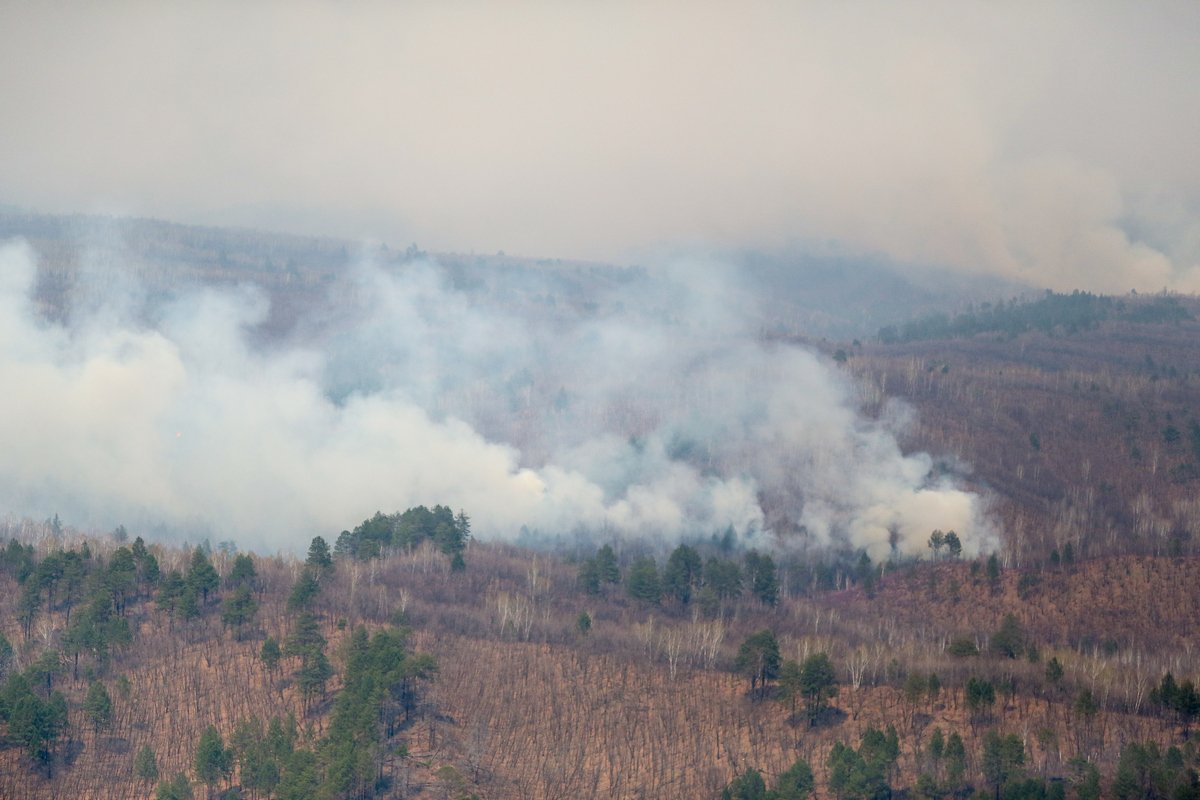 В Приамурье за сутки произошло 25 природных пожаров / За сутки в Амурской области зарегистрировали 25 природных пожаров. Десять из них на площади 8 287 гектаров уже потушили. Продолжают действовать 15 возгораний. Сильнее всего горит Зейский район, где зафиксированы восемь пожаров.