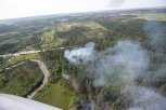 Шесть лесных пожаров потушили за сутки в Приамурье