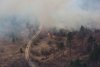 Сильный ветер повысил пожарную опасность в Приамурье: леса тушат больше тысячи человек