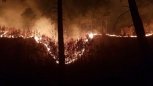 Из санатория «Василек» эвакуировали 100 детей из-за пожара в районе Белогорья