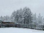 В Экимчане за ночь выпало 9 миллиметров снега