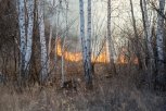В Приамурье снова начали гореть леса