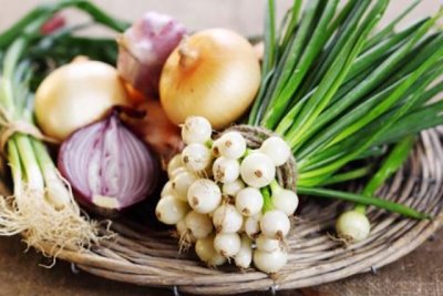 Гренки, лаваш, творог, суп и паста: блюда с зеленым луком