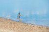 Летом в Благовещенске откроются шесть мест отдыха у воды