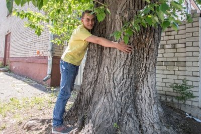 О чем молчат деревья: ученый-энтузиаст нашел и узнал тайны зеленых долгожителей Благовещенска