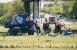 Полмиллиона разных цветов высаживают в Благовещенске ко Дню России