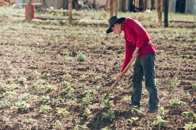 Староверам дадут гектары и кредиты: переселенцы едут на Дальний Восток
