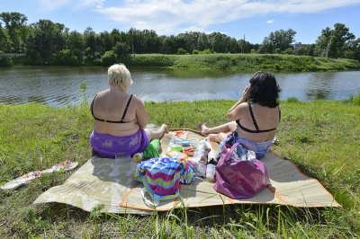 Опрос АП. Как вы планируете провести отпуск?