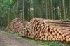 «АмурЛесПром» задолжал работникам почти 800 тысяч рублей