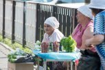 Столица Приамурья заработала полмиллиона рублей на незаконной уличной торговле