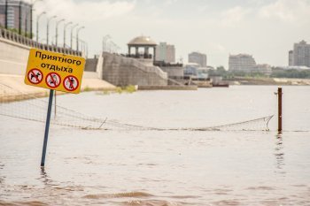 Амур прибывает: в Благовещенске уровень воды в пограничной реке превысил норму (фото)