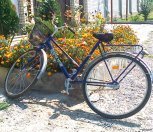 Амурчанин получил три года строгого режима за кражу сумки с пенсиями у почтальона